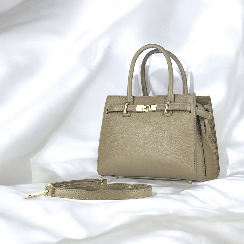 A beige handbag featuring a strap and a gold handle, elegantly designed for style and functionality.