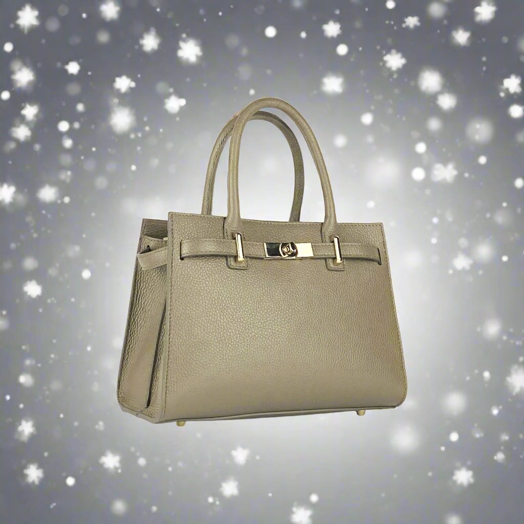 A beige handbag featuring a strap and a gold handle, elegantly designed for style and functionality.